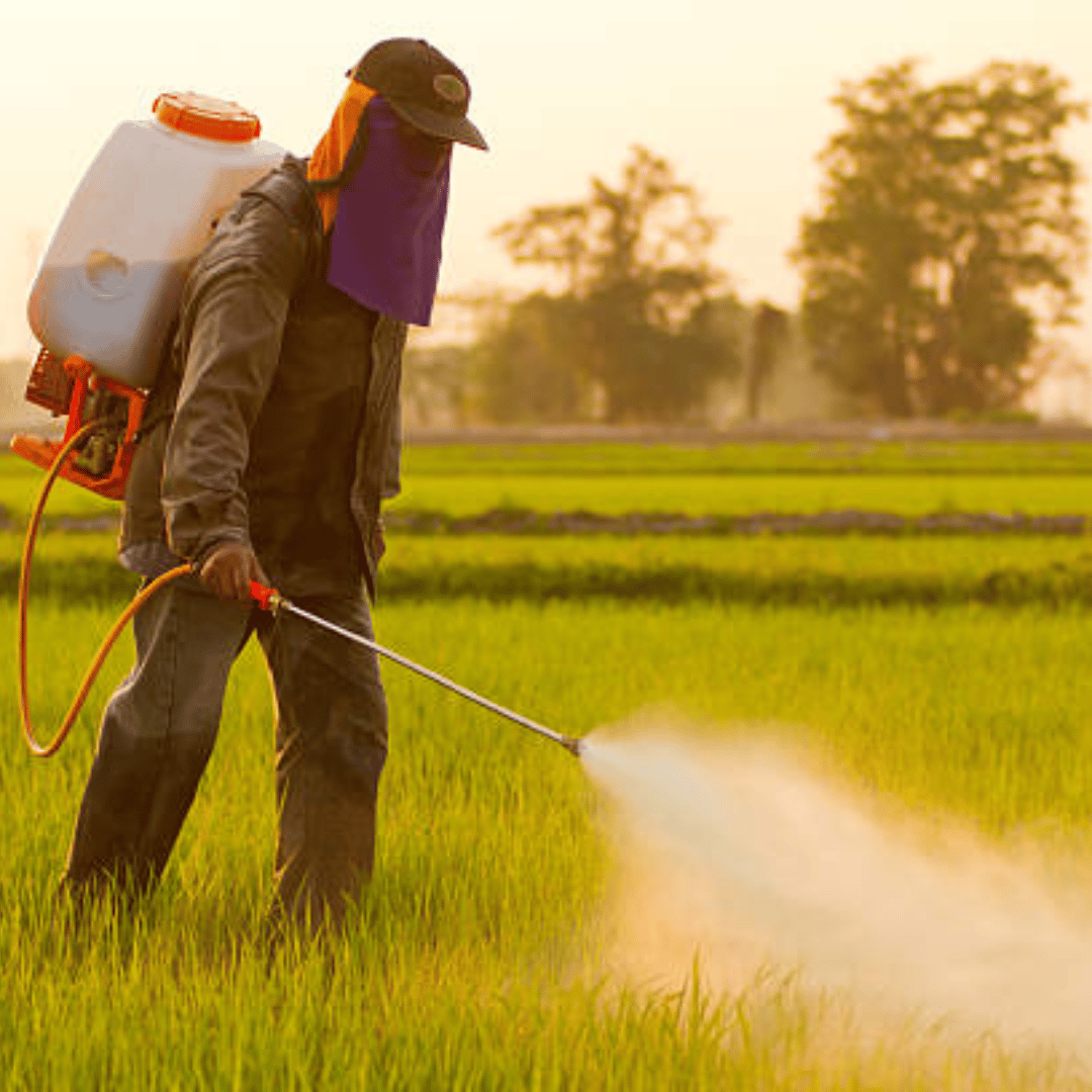 Insecticides and Pesticides