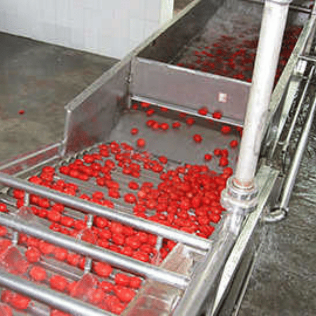 Fruit & Vegetable Processing Machine