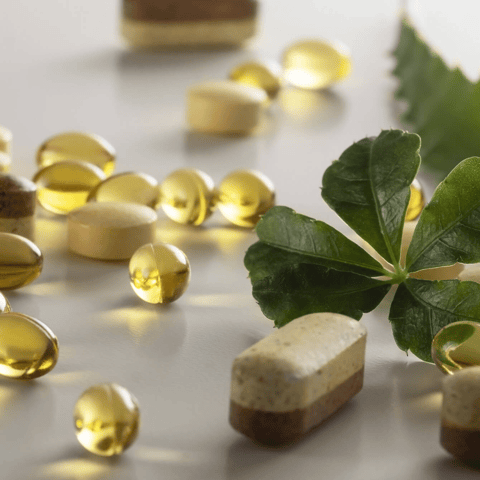 Nutraceuticals & Dietary Supplements