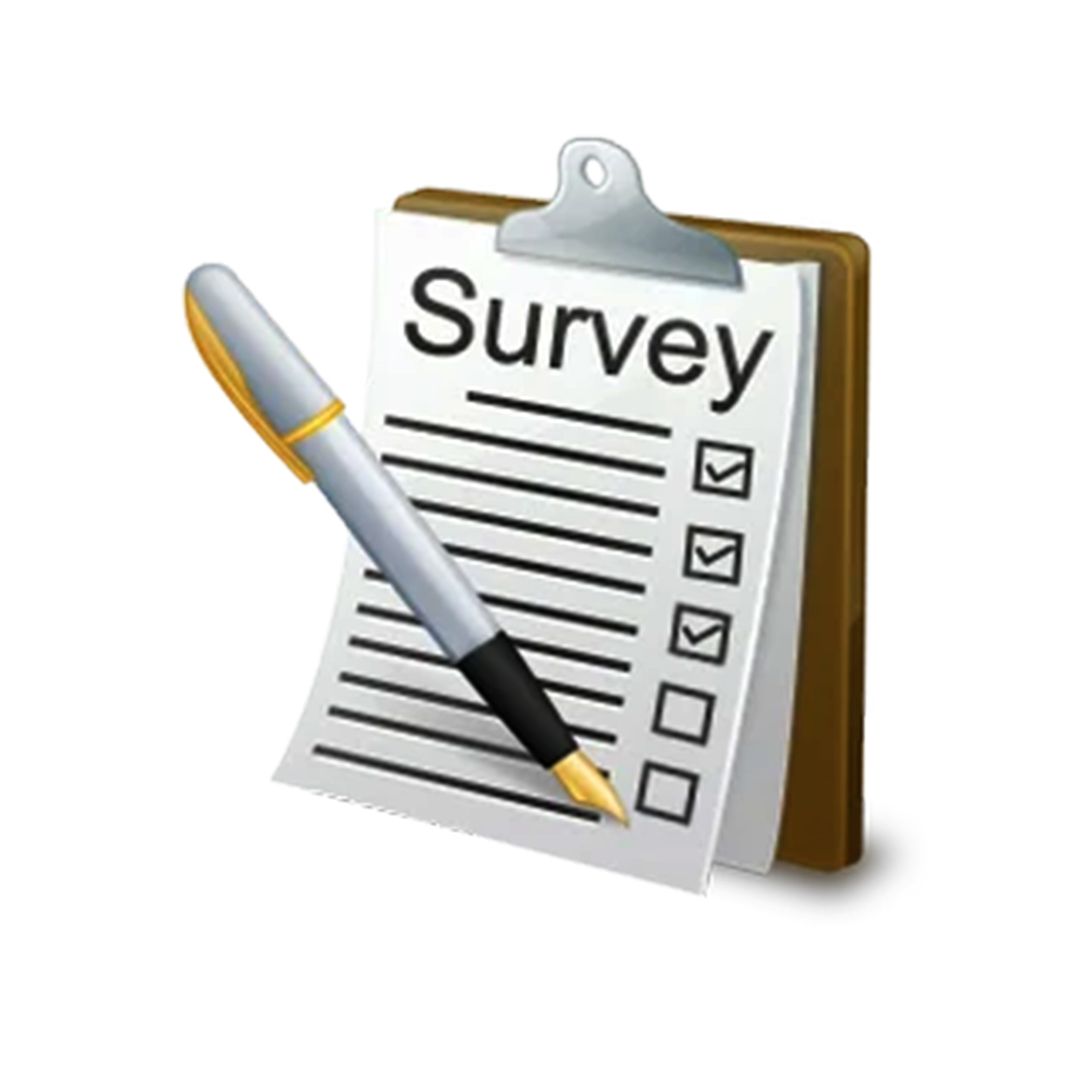 Survey Report Services