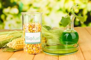 Liquid Vegetable Oil Biofuel, For Vehicle