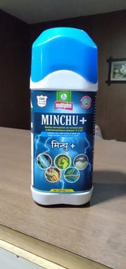 Minchu Plus, Diseases