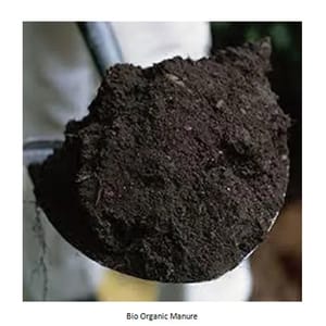 25 Kg Bag Powder Bio Organic Manure, Bio-Tech Grade