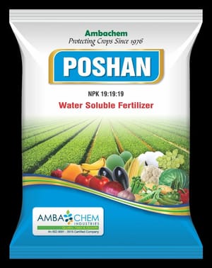 Powder NPK Water Soluble Fertilizer, Bag, 1 Kg