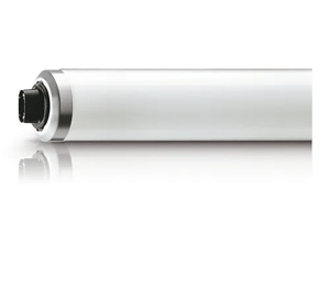 Philips Fluorescent Tube Light 100W/01SLV/10