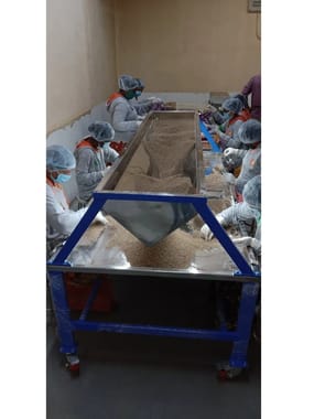 Manual Hand Sorting Table, For Grain Shorting, Capacity: 200kg/hour