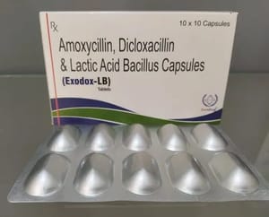 Exodox-LB Amoxycillin Dicloxacillin & Lactic Acid Bacillus Capsules