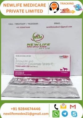 Amoxicillin Toxomox 250 Mg, Prescription, Treatment: Antibiotc