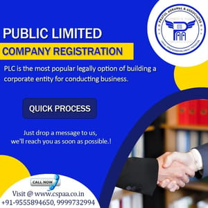 10 Days Public Limited Company Registration Service, Application Type: Industrial, Minimum 7 Member