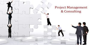 Project Management Consultants in Delhi