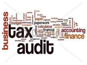 Consulting Firm Tax Auditing Services