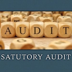 Consulting Firm Statutory Financial Audit Services, Jaipur