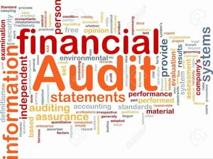 Financial Auditing Service