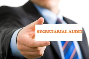 Secretarial Audit Service
