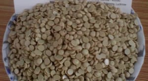 Granules Industrial Grade Sulphur Bentonite Water Soluble Fertilizer