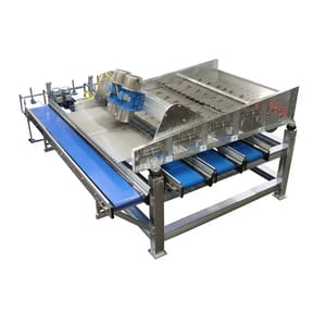 Semi-Automatic Powder Coated Fruit Grading Machine, Three Phase, Capacity: 500 kg/Hr