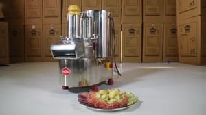 Natraj Vegetable Cutting Machine, Capacity: 500-600 KG