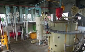 Semi Automatic Complete Oil Mill Plant, Capacity: 1-5 Ton/Day