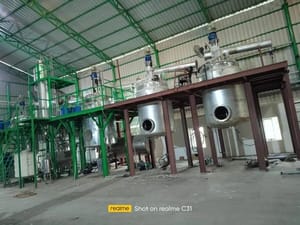Turmeric curcumin extraction plant, Capacity: 20 TPD