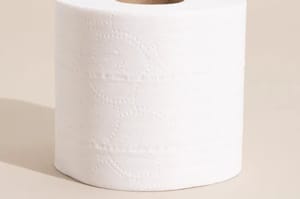 White Plain Aareha Toilet Roll