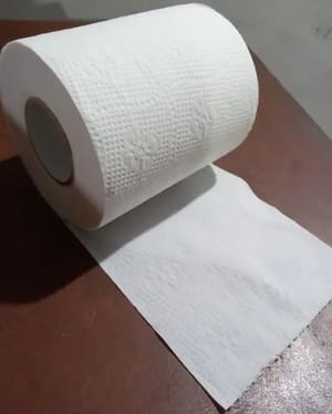 Festiva Classic White Toilet Tissue Roll 320 Pulls