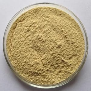 Rajvi Brown Serratiopeptidase Powder, Grade Standard: Pharma grade, Packaging Type: Drum