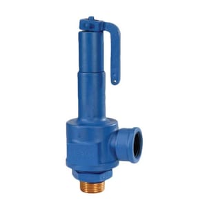 Silver, Blue Safety Relief Valves