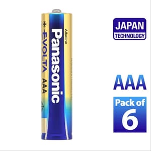 Panasonic ALKALINE Evolta Battery AAA/6 LR03, For Toys