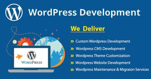 Website Development (WordPress Web Development)