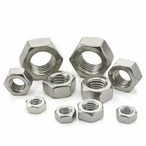 Stainless Steel 304/316 Hex Nut