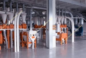 Breakfast Cereals Processing Plant