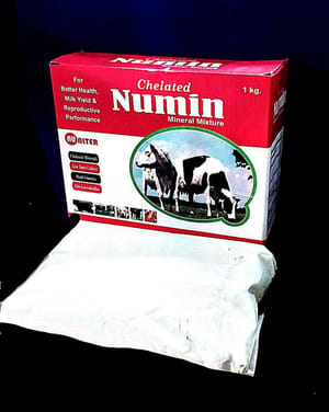Veterinary Mineral Mixture Powder, Health And Milk Yield, Packaging Size: 1 Kg