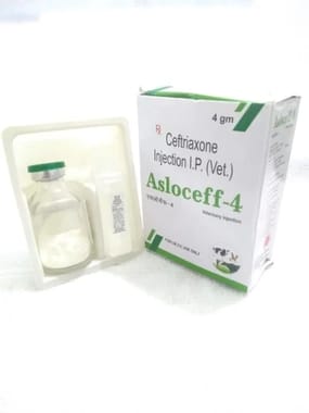 Nualter Ceftriaxone Injection, Packaging Type: Vial with stopper, Packaging Size: 4 Gm
