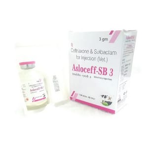 Ceftriaxone & Sulbactam for Injection I.P, For Hospital, For Clinical