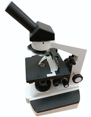 Compound Light Microscope, 100x