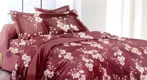 ABC Textile Pure Cotton Floral Pattern Super King Size Bedsheet & 2 Pillow Covers (95x120 Inches)