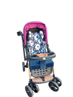 SPECIAL STROLLERS FOR CEREBRAL PALSY CHILDREN