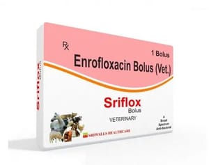 Sriflox Enrofloxacin Bolus (Vet) For Veterinary, Packaging Type: Box