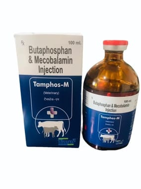 Butaphosphan & Mecobalamin Injection