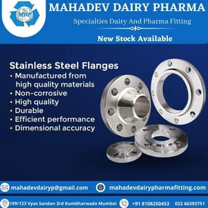 Industrial Ss Flange