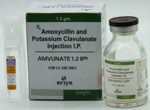 Amoxicillin Potassium Clavulanate Injection