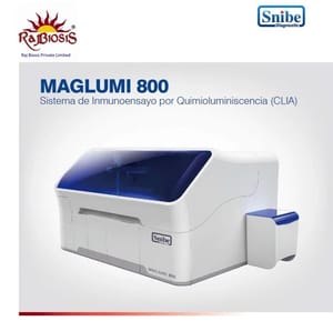 Snibe Fully Automatic Maglumi 800 Chemiluminesescence Immunoassay System( CLIA)