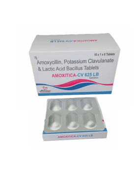 Amoxitica Amoxycillin Potassium Clavulanate Lactic Acid Bacillus