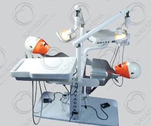 Manual Metal Navadha Dual Dental Simulator with Torso, For University, Model: SIM70