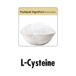 L- Cysteine Powder