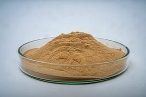 Concentrated Enzyme Powder