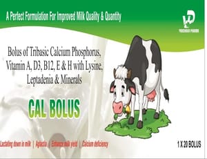 Calcium Veterinary Bolus