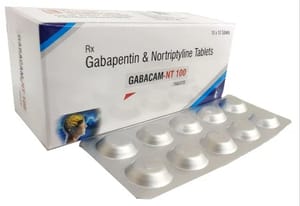 GABACAM NT 100