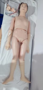 Female/Male Full Body Mannequin